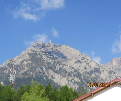 IMG_7877.1.jpg