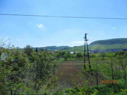 IMG_7790.JPG