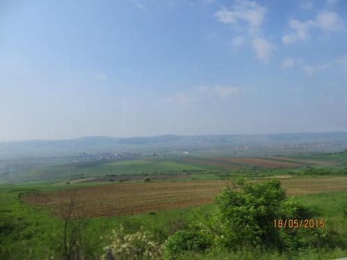 IMG_7748.JPG