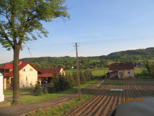 IMG_7629.JPG