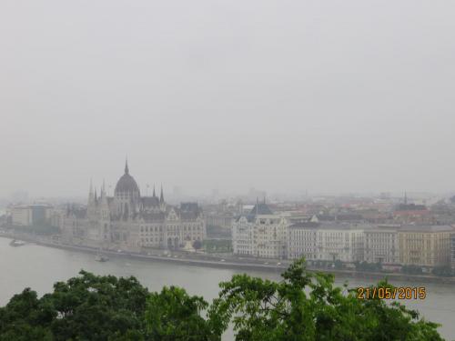 IMG_8234.JPG