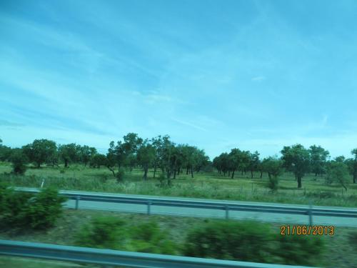 IMG_2296.JPG