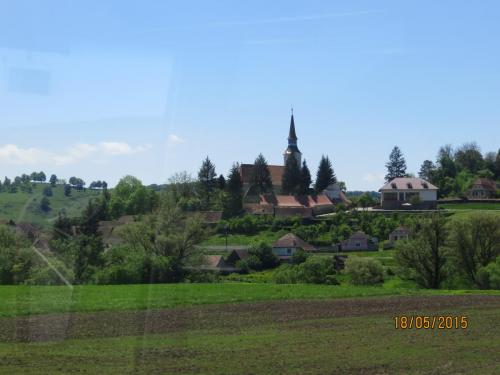 IMG_7801.JPG