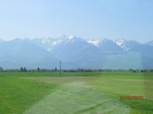 IMG_8045.JPG