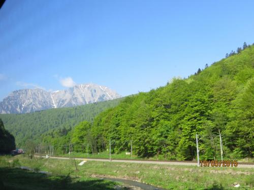 IMG_7868.JPG