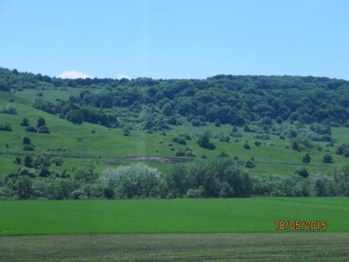 IMG_7799.JPG