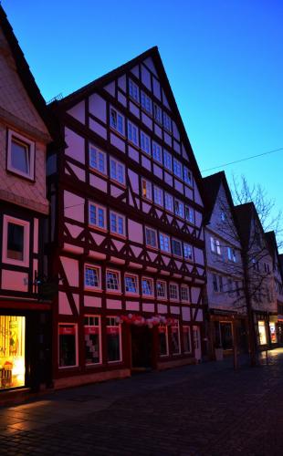 DSC_0035 - копия.JPG