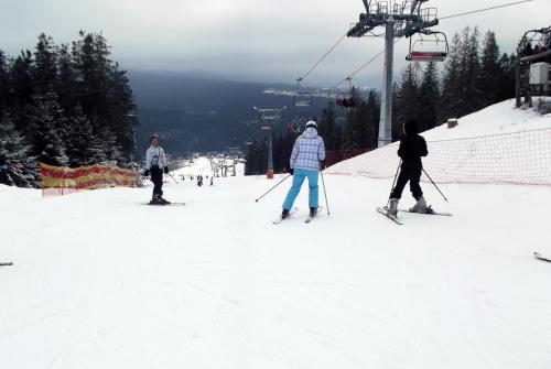 Горные лыжи (127).JPG