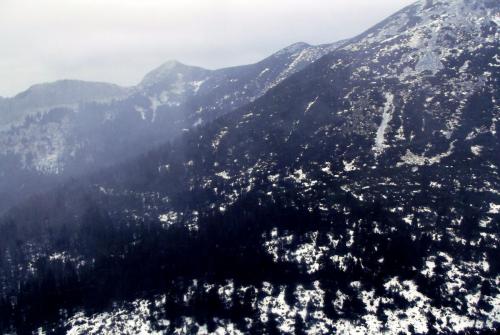 Горные лыжи (141).JPG