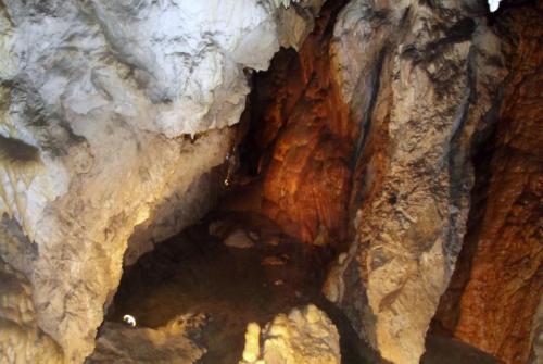 Горные лыжи (90).JPG