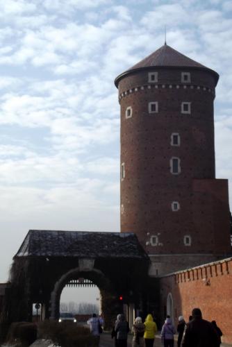 Горные лыжи (32).JPG