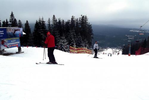 Горные лыжи (126).JPG