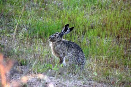 Финляндия (182).JPG