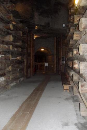 Горные лыжи (46).JPG