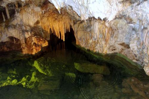 Горные лыжи (93).JPG