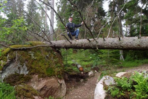 Финляндия (155).JPG