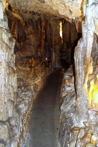 Горные лыжи (95).JPG