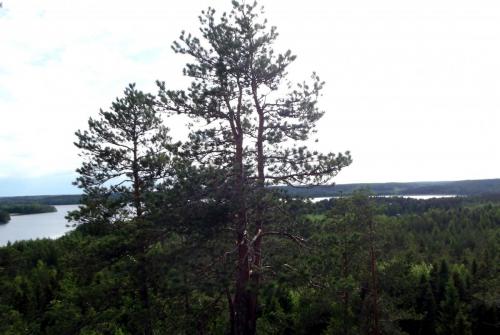 Финляндия (169).JPG