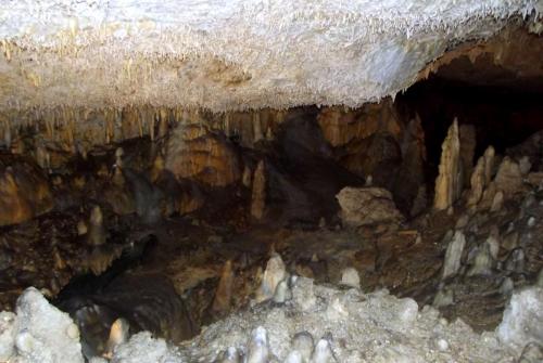 Горные лыжи (74).JPG