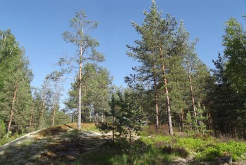 Финляндия (94).JPG