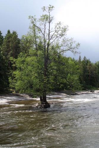 Финляндия (200).JPG