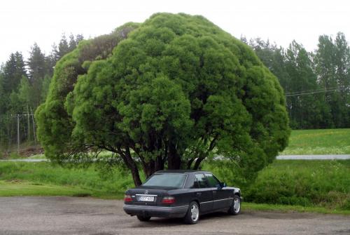 Финляндия (1).JPG