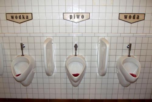 Горные лыжи (29).JPG