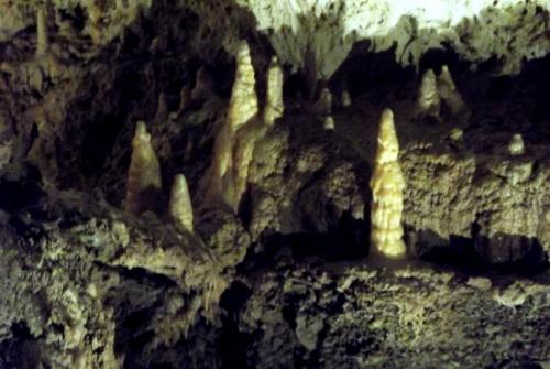 Горные лыжи (71).JPG