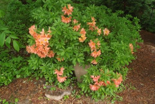 Финляндия (161).JPG