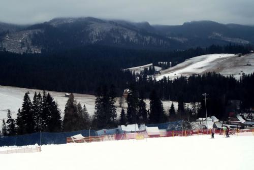 Горные лыжи (125).JPG