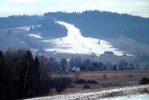 Горные лыжи (117).JPG