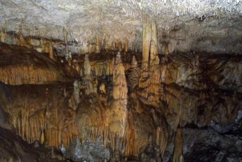 Горные лыжи (75).JPG