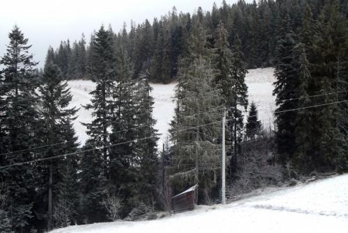 Горные лыжи (124).JPG