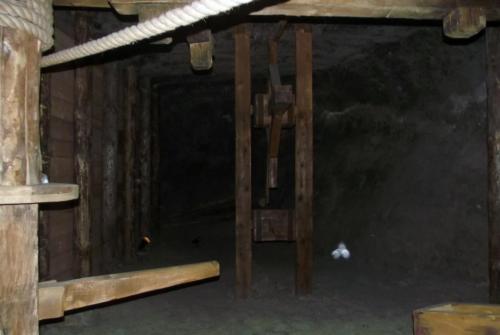 Горные лыжи (48).JPG