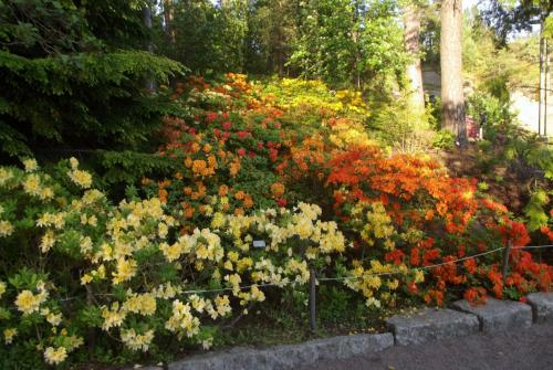 Финляндия (178).JPG