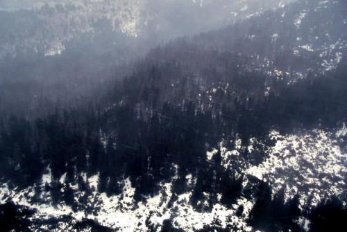 Горные лыжи (142).JPG