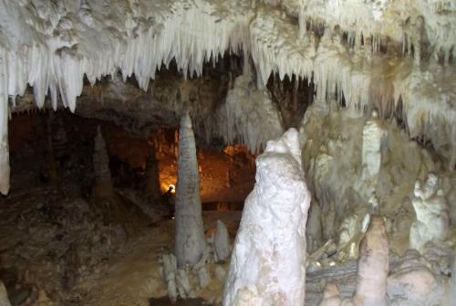 Горные лыжи (96).JPG