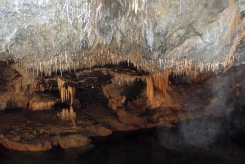 Горные лыжи (81).JPG