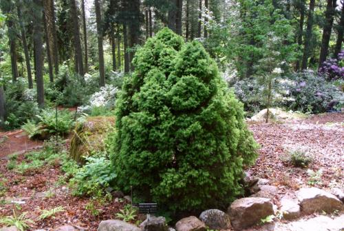 Финляндия (165).JPG