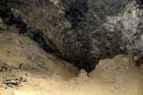 Горные лыжи (73).JPG