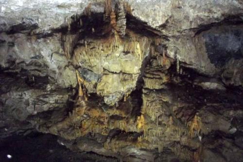 Горные лыжи (76).JPG