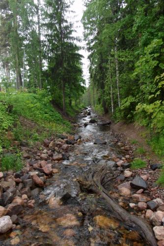 Финляндия (49).JPG