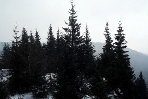 Горные лыжи (143).JPG