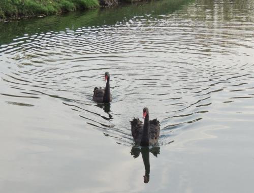 DSCN6161.JPG