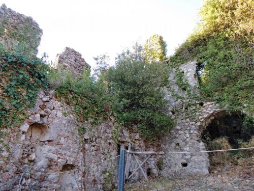 DSCN7392.JPG