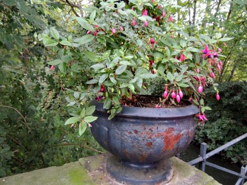 DSCN1165-Вольфс мост.JPG