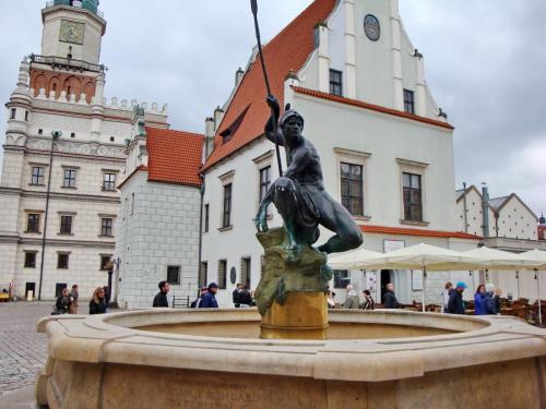 DSC09033-Фонтан Марса.JPG