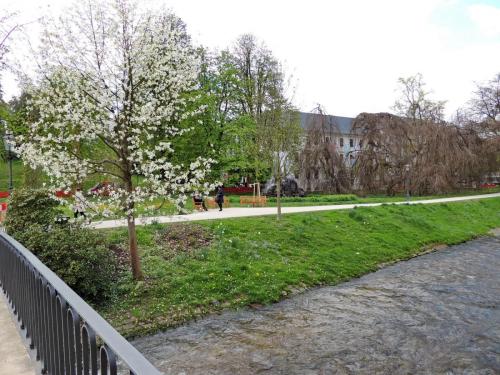 DSCN9780.JPG