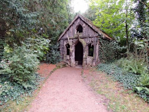 DSCN1218-Корневой домик.JPG