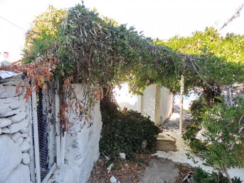 DSCN7128.JPG